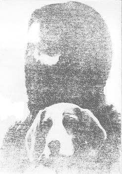 Conflict - Increase The Pressure