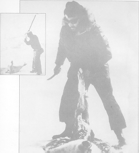 Conflict - Increase The Pressure